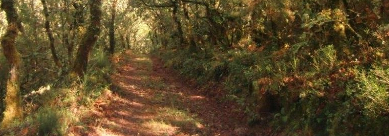 Sendeiros de Ros e Montes