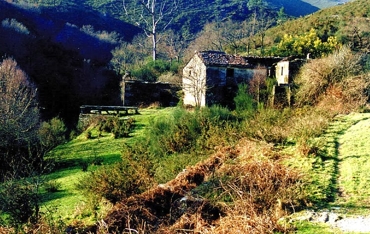 Parroquia de Millerada. Aldea abandonada de Grovas