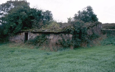 Parroquia de Pereira. Albariza